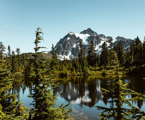 This is a travel test product E